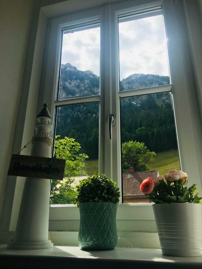 Alpenaquarium Grueblsee - Fewo Elfi Vordernberg Luaran gambar